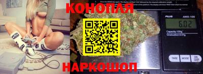 прущие грибы Гусев
