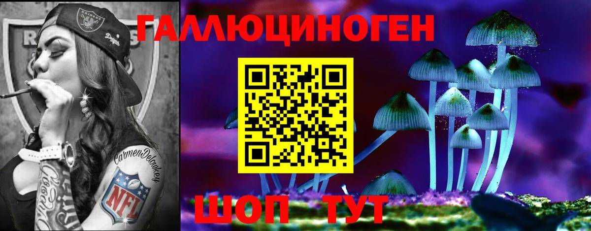 Псилоцибиновые грибы Cubensis Кузнецк