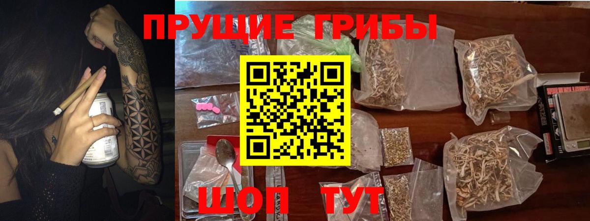 Галлюциногенные грибы Magic Shrooms  Вход с VPN  Кузнецк 